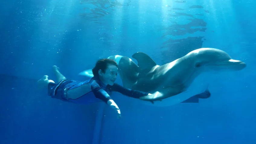 Dolphin Tale