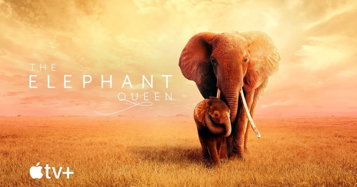 The Elephant Queen