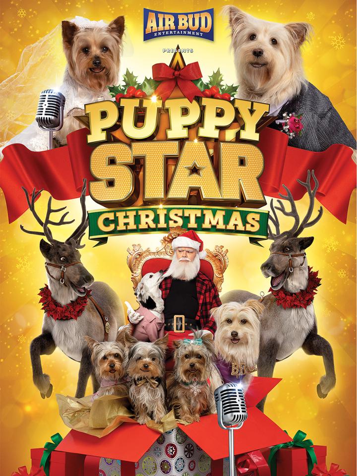 Puppy Star Christmas