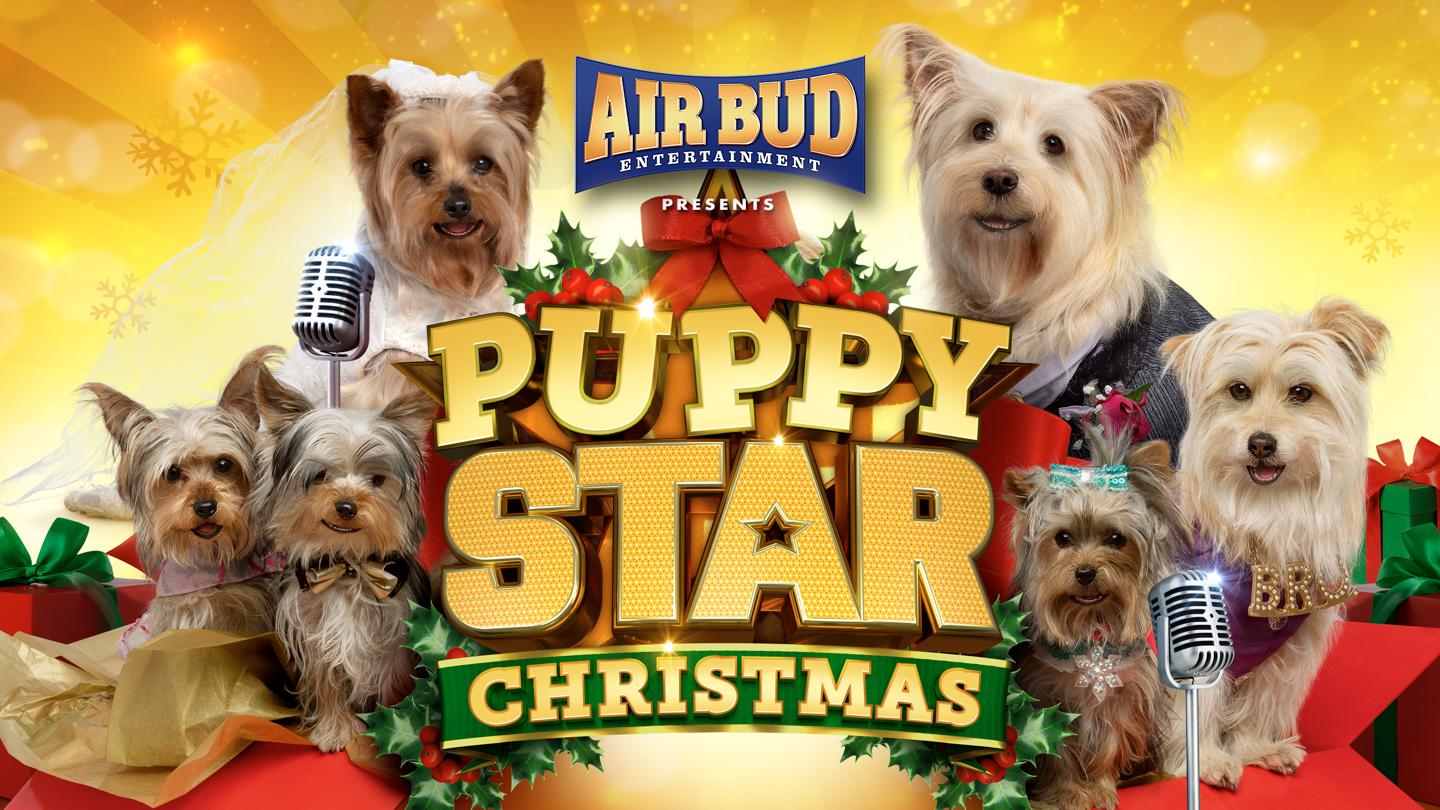 Puppy Star Christmas