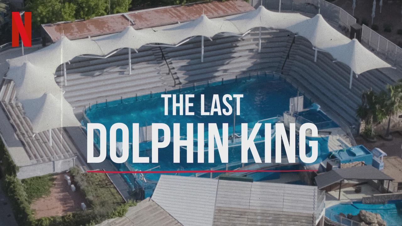 The Last Dolphin King